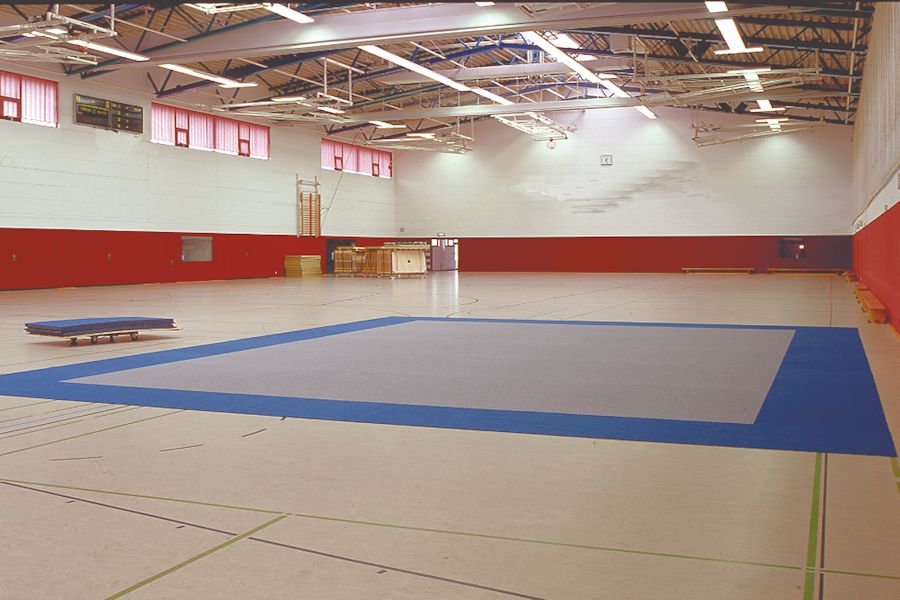 hallenschutzboden_turnhalle_1-apqstage.jpg
